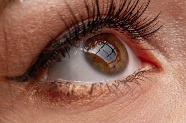 Bir kadının göz kamaştırıcı yakın çekimi. Karmaşık detayları ve gözün güzelliğini yakalar. Eşsiz ve samimi bir bakış açısı sağlıyor. Sanat projeleri veya tıbbi çizimler için ideal.