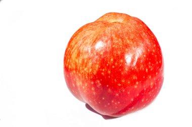 Beyaz arka planda elma. Elmalar çok çeşitli sağlık faydaları sağlayan besleyici bir güç kaynağıdır. Kalorileri düşük ve lifleri yüksek. Vitamin ve mineraller için mükemmel bir kaynak..