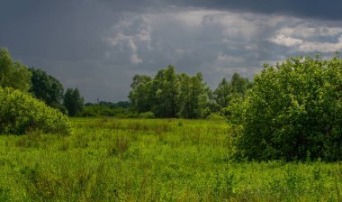 Yaz, gök gürültülü bulutlar, mavi gökyüzü, sel basmış çayır tarlaları, yaz renklerinin kokusu ve çeşitli kır çiçekleri.