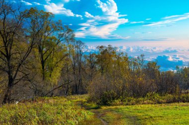 Nehrin sakin taşkın ovasında sonbaharın güzelliğinin tadını çıkar. Canlı sarı ağaçların arasında dolaşın ve doğanın görüntüsü ve seslerinin tadını çıkarın. Fotoğraf için ideal bir yer