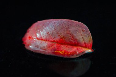 Parlak kırmızı rowan yapraklı çarpıcı sonbahar resimleri mevsimsel grafikler, davetiyeler veya sosyal medya paylaşımları için mükemmel bu çarpıcı görüntü ile sonbaharın güzelliğini ve özünü yakalayın