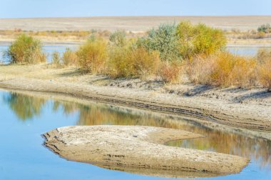 Sessiz Muhafız: Bozkırdaki sakin bir nehrin ortasında, havadan dövülmüş bir ağaç zamanın geçişinin bir göstergesi olarak duruyor. Dalları boş olabilir ama içinde tuttuğu sır yaşamaya devam ediyor. Mutluluğa Çürük