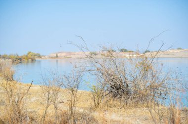 Bozkırdaki nehir. Çayırlar. Bozkırdaki nehrin kıyısında taze sonbahar esintisinin tadını çıkarıyorum! Doğa Aşıkları
