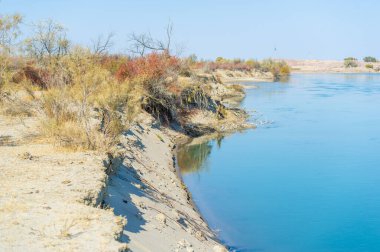 Sonbahar, Steppe. Çayırlar. Nehir. Sonbaharın Gizli Hazinesi Sonbahar yapraklarının büyüleyici halıları arasında, uzak bir nehir acımasız bir çöl boyunca akar..