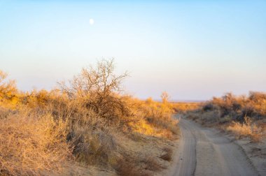 Bozkırın dinginliğini ve günbatımının güzelliğini hisset. Endişelerini geride bırak ve kendini doğanın sükunetine bırak. Güneş batarken gökyüzünün canlı renklerinin tadını çıkar.