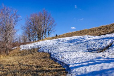 Sarı alanlar son karın beyazlığıyla tezat oluşturuyor. Kurumuş otlar ve çıplak ağaçlar kışın sonunu işaret ediyor. Baharın erken saatleri soğuk ve sıcak havanın karışımını getirir..