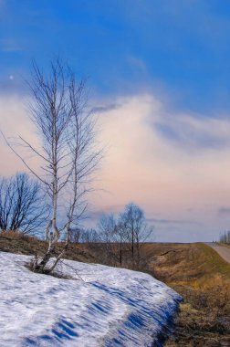 Sarı alanlar beyaz karla tezat oluşturuyor. Ağaçlar soğuk bir zemine karşı çıplak duruyor. Bahar zaten ufukta. Manzaraya yeni bir hayat getirir..