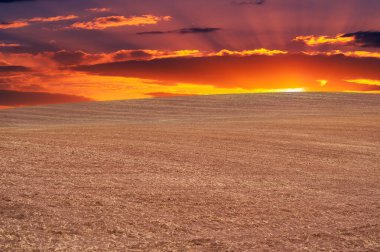 Zamanda donmuş bir anı deneyimleyin, sabanla sürülmüş bir tarlanın muhteşem bir günbatımının engin genişliğiyle buluştuğu anı. Bu kırsal arazinin saf güzelliğine hayran kaldım, büyüleyici manzara.