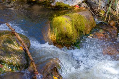 Dağ deresindeki su berraklığı ve kararlılığı temsil eder. Cesur bir kaşifin engebeli arazide gezinme yeteneğini taklit eder. Güzel bir akış ve hareket yolu oluşturur.