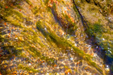 Kendini bir dağ deresinin el değmemiş ıssızlığına daldır. Ritmik dansın ve suyun rahatlatıcı seslerinin tadını çıkar. Her taşın karmaşık detaylarını ve doğal güzelliklerini keşfedin..