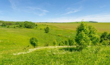 Yaz, çayır tarlaları, vadiler, çam ağaçları fındık ağacı, kır çiçekleri, dünyanın Avrupa bölgesi.