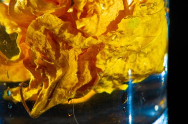 Dekoratif amaçlar için parlak kuru amber yaprağı. Siyah arkaplanlı renk karşıtlığı. Herhangi bir kompozisyona doğal ve benzersiz bir ekleme.