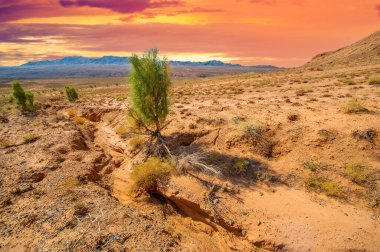 Kızıl Boguta Dağları 'nda büyüleyici bir çöl batışına tanık olun. Güneşin altın parıltısını, sivri tepeleri aydınlatan parıltısını hisset. Alevli harikaların güzelliğine kapıl..