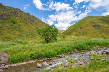 Doğanın başyapıtının dingin güzelliğinin tadını çıkar. Nehrin kayalık kanyonda huzur içinde akışını izle. Bu manzaralı istikameti çevreleyen görkemli dağları keşfedin..