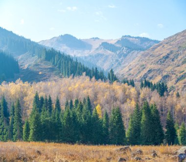 Tien Shan ladin ve huş ağaçlarının ihtişamını hisset. Kendinizi çarpıcı sonbahar manzarasına daldırın. Engebeli uçurumlar ve büyüleyici dağ tepeleri arasında huzuru bul..