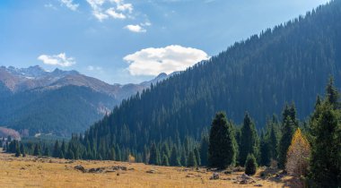 Tien Shan 'ın dokunulmamış güzelliğini keşfedin. Antik ağaçlarla çevrili bir huzur ve sükunet hissini yaşayın. Sizi dehşete düşürecek resimli manzaralarda dolaşın..