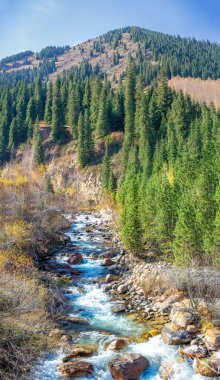 Sonbaharın güzelliğine dalın ve berrak bir nehrin dinginliğinin tadını çıkarın canlı ormanların arasından akan nefes kesen Tien Shan dağları tarafından büyülenin.