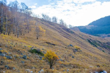 Tien Shan ladin ormanlarının dokunulmamış güzelliğini tecrübe edin. Sonbahar dağlarında yeni zirveler fethedeceğiz. Muhteşem bir dağ macerasında doğa kaşiflerine katılın..