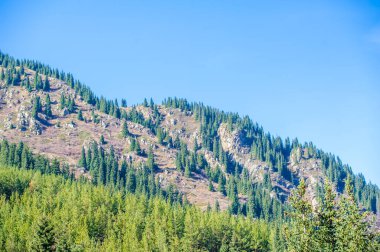 Tien Shan 'ın parlak sonbahar renklerinin tadını çıkar. Kendini doğanın orkestrasına ver. Karşıt bir palete dal.