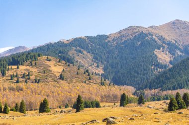 Tien Shan dağlarının huzurunu hisset. Çam ağaçları ve renkli çiçeklerin arasında dolaş. Kendini sonbaharın cazibesine bırak..