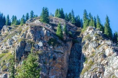 Sonbaharda Tien Shan Dağları 'nın hayranlık uyandıran güzelliğini tecrübe edin. Çevreyi renklendiren yaprakların canlı renklerine daldırılmalı. Doğa aşıkları için ideal bir tatil yeri..