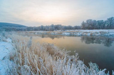 Donmuş nehir, yükselen güneşin sıcak altın ışığıyla yıkanır. Huzurlu ve sakin bir kış harikalar diyarı. Doğal güzellik etrafını sarar..