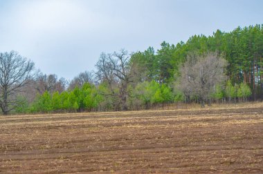 Başarılı ürün büyümesi için toprağı hazırladı. Sıkı çalışma ve hazırlık verimli sonuçlara yol açar. Bereketli topraklar, gelecekteki ekinlerin tohumlarını ekmeye hazır..