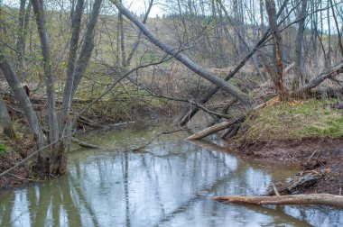 Sonsuz tarlalar arasında gizli bir vaha keşfetmek. Doğanın serenatının cazibesini tecrübe et. Kunduz cennetinin güzelliğine tanık olun. Gizemli Göl 'ün sırlarını açığa çıkar..