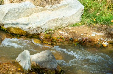 Dağ deresindeki su dengeyi ve uyum sağlayabilirliği temsil eder. Zorlukların üstesinden gelme yeteneğini sembolize eder. Su ileri doğru akar, bir berraklık ve kararlılık yolu yaratır.