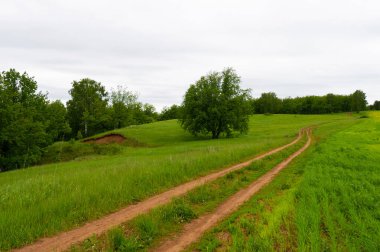 İlkbahar fotoğrafçılığı, kırsal alan, genç buğday tarlalarının arasından geçen toprak yol, bir yerden diğerine uzanan geniş bir yol, özellikle araçların kullanabileceği özel hazırlanmış bir yüzeye sahip olan bir yol.