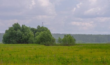 Yaz manzarası, gök gürültülü bulutlar, mavi gökyüzü, sel basmış çayır tarlaları, yaz renklerinin kokusu ve çeşitli kır çiçekleri.
