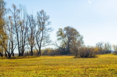 Nehrin taşkın ovasındaki sarı ağaçların güzelliğinin tadını çıkar. Sonbaharın sakinleştirici atmosferine dalın. Nehir boyunca bir yürüyüş yap ve sonbahar renklerinin tadını çıkar..