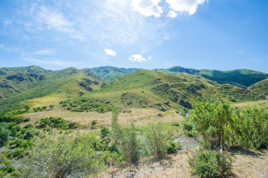 Kayalık bir kanyonda akan bir nehrin huzur veren güzelliği. Dağ manzaralarının göz kamaştırıcı doğal manzarası. Suyun zarif akışını izlerken huzurlu enerjiyi hissedin..