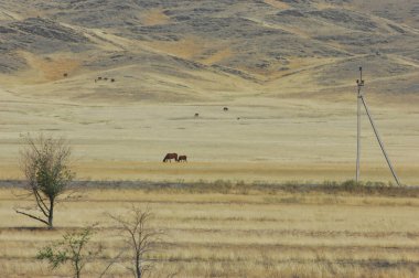 Çayır, sade batan güneşle yayılan çöl arasındaki büyüleyici dansı izlemek kelimelere dökülemeyecek bir dünya dışı deneyim yaratır. Çölün Sihirli Titreşimleri