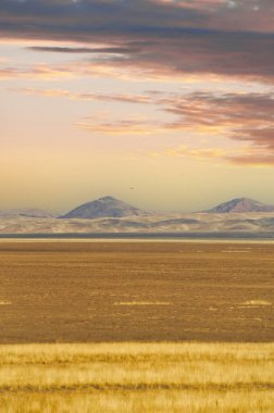 Steppe, Prairie, Plairie, Güneşin son kucaklaması ıssız çölü kucaklıyor, ardında sadece melankolik bir güzellik bırakıyor. Sonsuz umutla amansız özlem arasında kalmış bir dünyaya sessiz bir veda..