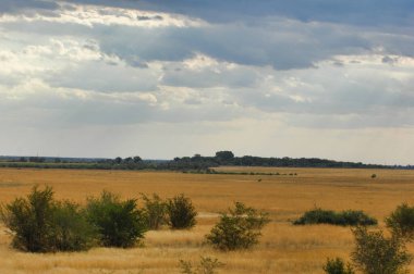 Çayır, düz, çöl. Her pikselin keşfedilmeyi bekleyen bir hikaye barındırdığı tanımsız diyara dalın. Sonsuz Olasılıklar