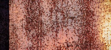 Metal üstüne pas. Doku, arka plan, desen. Demir su ve oksijenle temas ettiğinde paslanır. Deniz suyu veya tuz spreyi gibi tuz varsa, demir daha hızlı paslanma eğilimindedir..