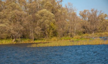 Sonbahar manzara afişi, yüksek dağlı, aydınlık tepeli, nehirdeki kayalar, yansıma, mavi gökyüzü ve gündoğumunda sarı güneş ışığı olan güzel manzara. Şaşırtıcı doğa geçmişi.