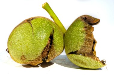 Ceviz. Benim için aşk ceviz gibidir. Düzenli ve küçük miktarlarda alınmalı..