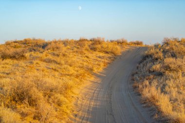 Çölde sonbaharın çarpıcı güzelliğinin tadını çıkar. Doğa, altın bir başyapıtı canlı renklerle ve nefes kesici günbatımlarıyla resmederken izleyin. Kumulların doğal harikalarından ilham alın.
