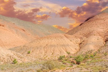 Gün batımında Kızıl Dağlar 'ın sakinliğini hissedin. Dağların büyüleyici ışıltısı duyularınızı büyülesin. Sonsuz güzellik ve sonsuz olasılıkların hikayelerini gün ışığına çıkar.