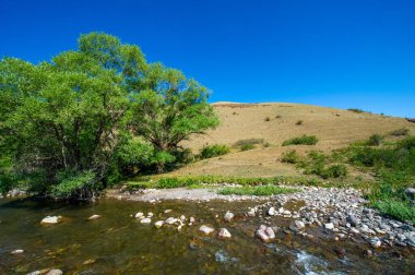 Dağ nehrinin büyüleyici güzelliğinin tadını çıkar. Bırak akan suyun sesi zihnini ve ruhunu rahatlatsın. Doğayla bağlantı kur ve dağların büyüsünü hisset..