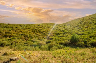Görkemli dağ manzaraları arasında huzurlu nehir akıntısı. Doğanın tüm ihtişamıyla hayranlık uyandıran güzelliğini tecrübe et. Temiz dağ havasını içine çek ve bırak endişelerin akıp gitsin.