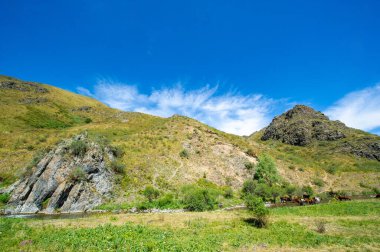 Görkemli bir dağ kanyonunda akan bir nehrin sükunetini hisset. Nehrin etrafındaki kayalık arazinin doğal güzelliğinden büyülen. Huzuru hisset