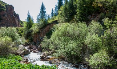 Dağlarda yaz. Dağlık arazide bir nehir. Yaz manzarası. Binlerce yorgun, sinirli, aşırı medeni insan, dağlara gitmenin eve gitmek demek olduğunu anlamaya başlıyor..