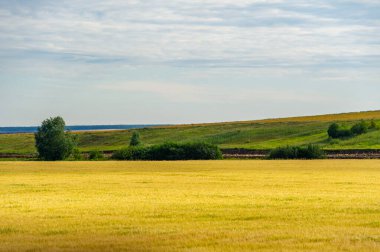Tarlada güzel renkler ve kokular var. Fotoğraf çekimi ya da piknik için ideal bir yer. Çiçeklerin etrafında vızıldayan kelebekleri ve arıları izle.