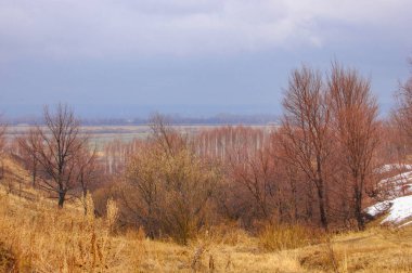 Sarı alanlar beyaz karla tezat oluşturuyor. Ağaçlar soğuk bir kış manzarasının arka planında çıplak duruyor. Kıştan bahara geçiş dönemi bir sahnede çekilir..
