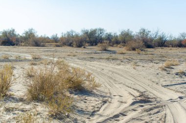Toprak bir yolculuktaki düşüşün çarpıcı güzelliğini tecrübe et. Bozkırların ve bozkırların gizli harikalarını keşfedin. Doğayla bağlantı kur ve kendini onun saf güzelliğine daldır..