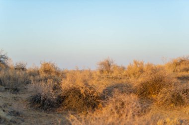 Bozkırlarda sonbaharın güzelliğine dalın. Güneşin büyüleyici çöl ufkundan batışını izle. Kendini altın bir vahada kaybet ve bırak endişelerin yok olsun..
