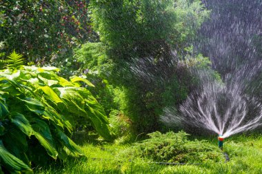 Bahçenizi kolay suyla sulandırın. Su bitkileri ve çiçekler verimli bir şekilde bahçeyle uğraşırken zaman ve çaba kazandırır..